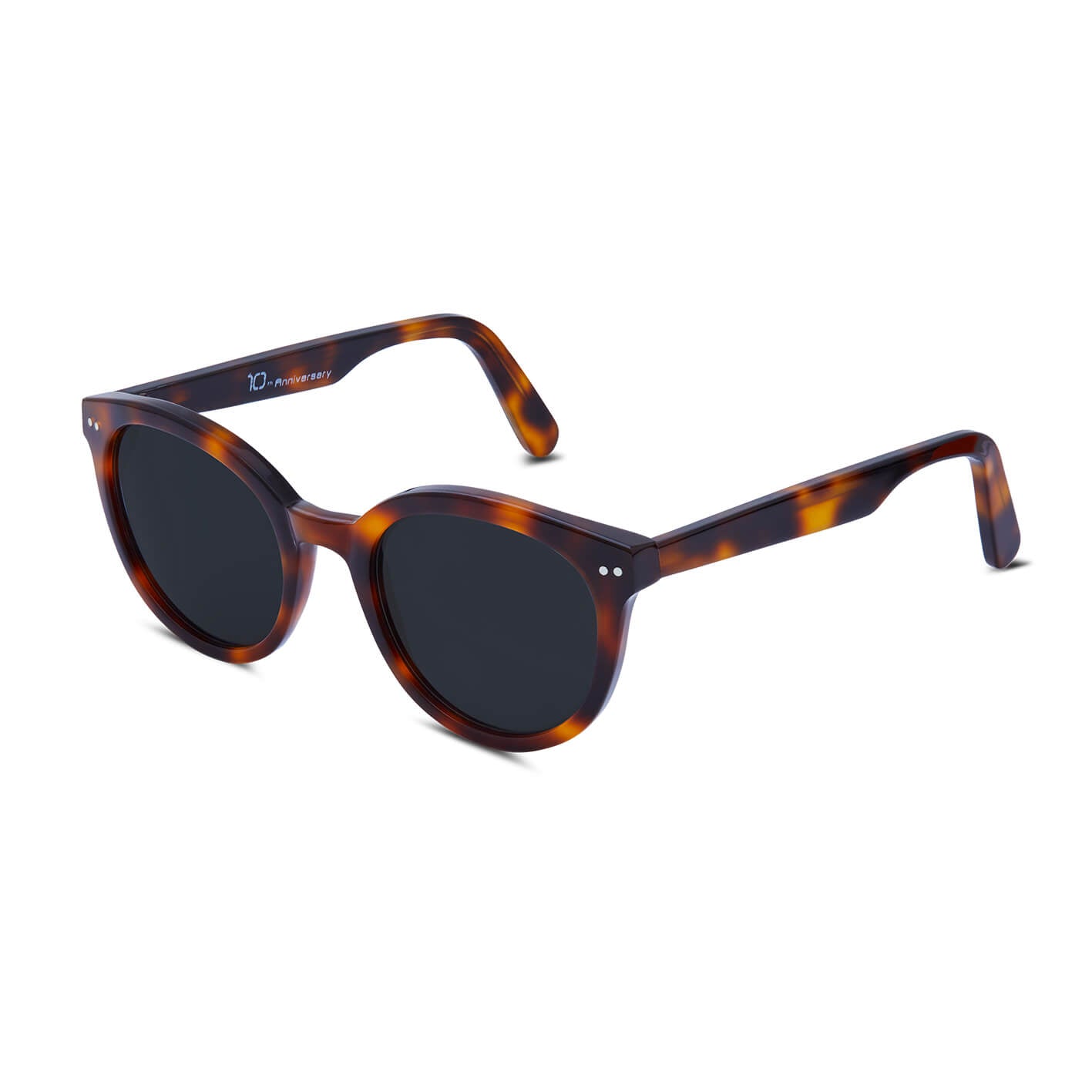 briston-lunettes-de-soleil-10-me-anniversaire-caille-gris image 4
