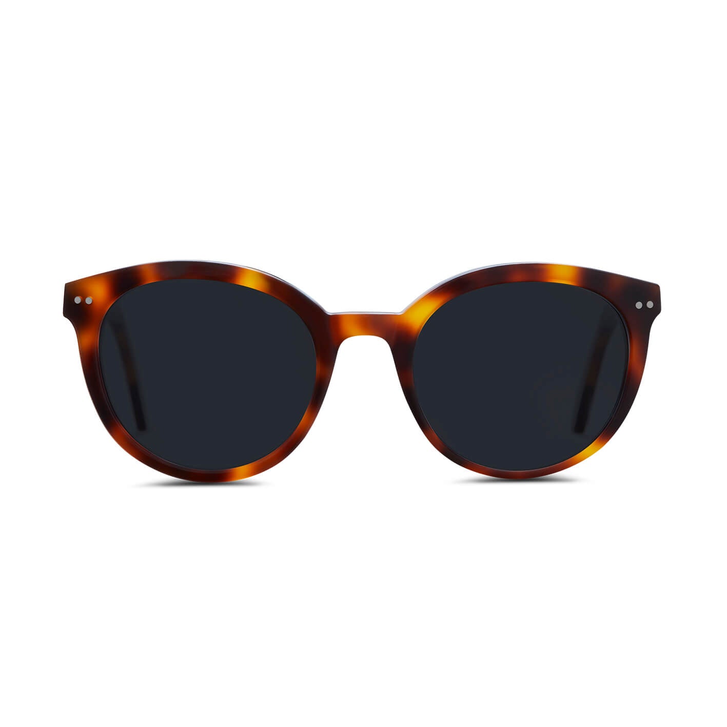 briston-lunettes-de-soleil-10-me-anniversaire-caille-gris image 3