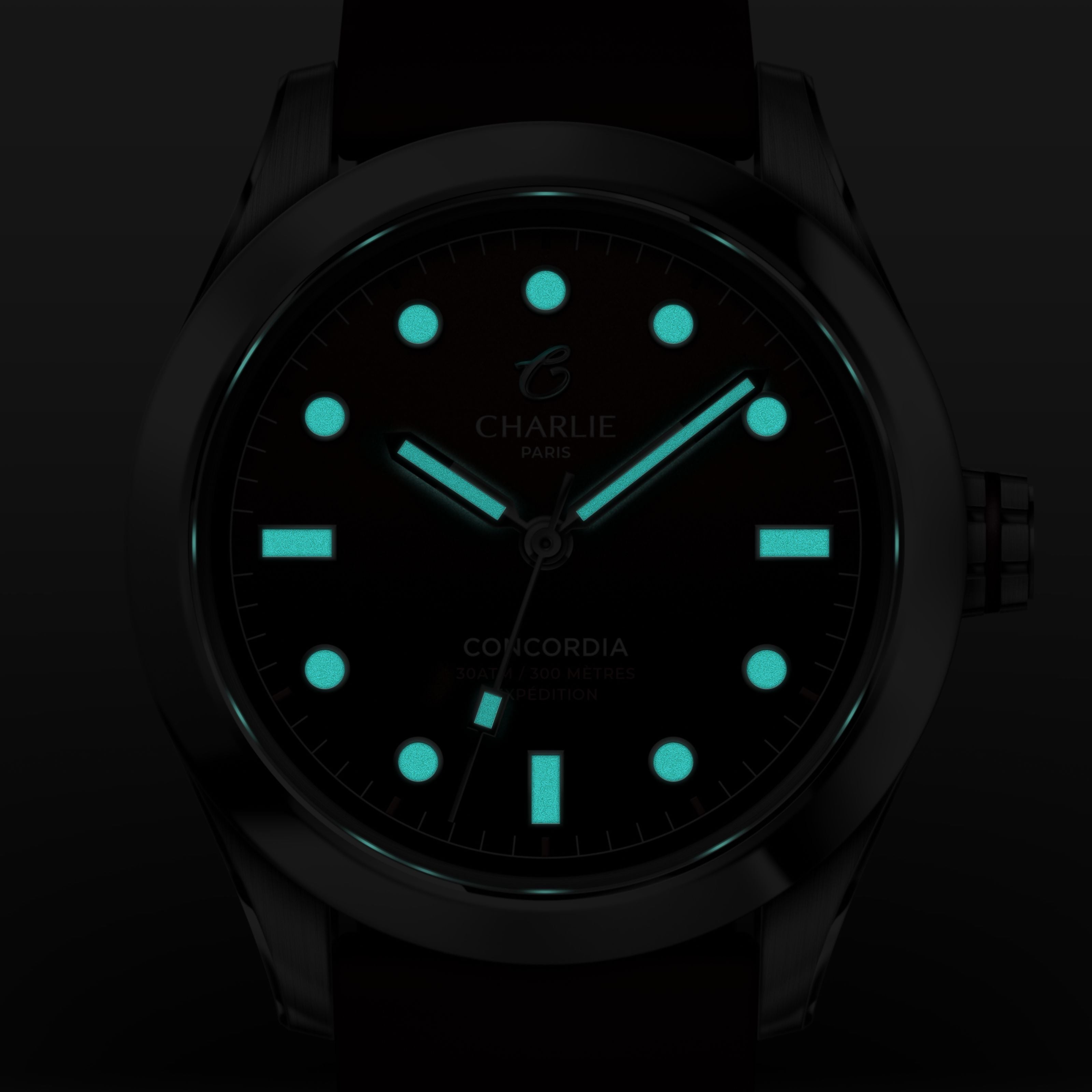 charlie-paris-concordia-montre-de-plong-e-38mm-bordeaux image 4
