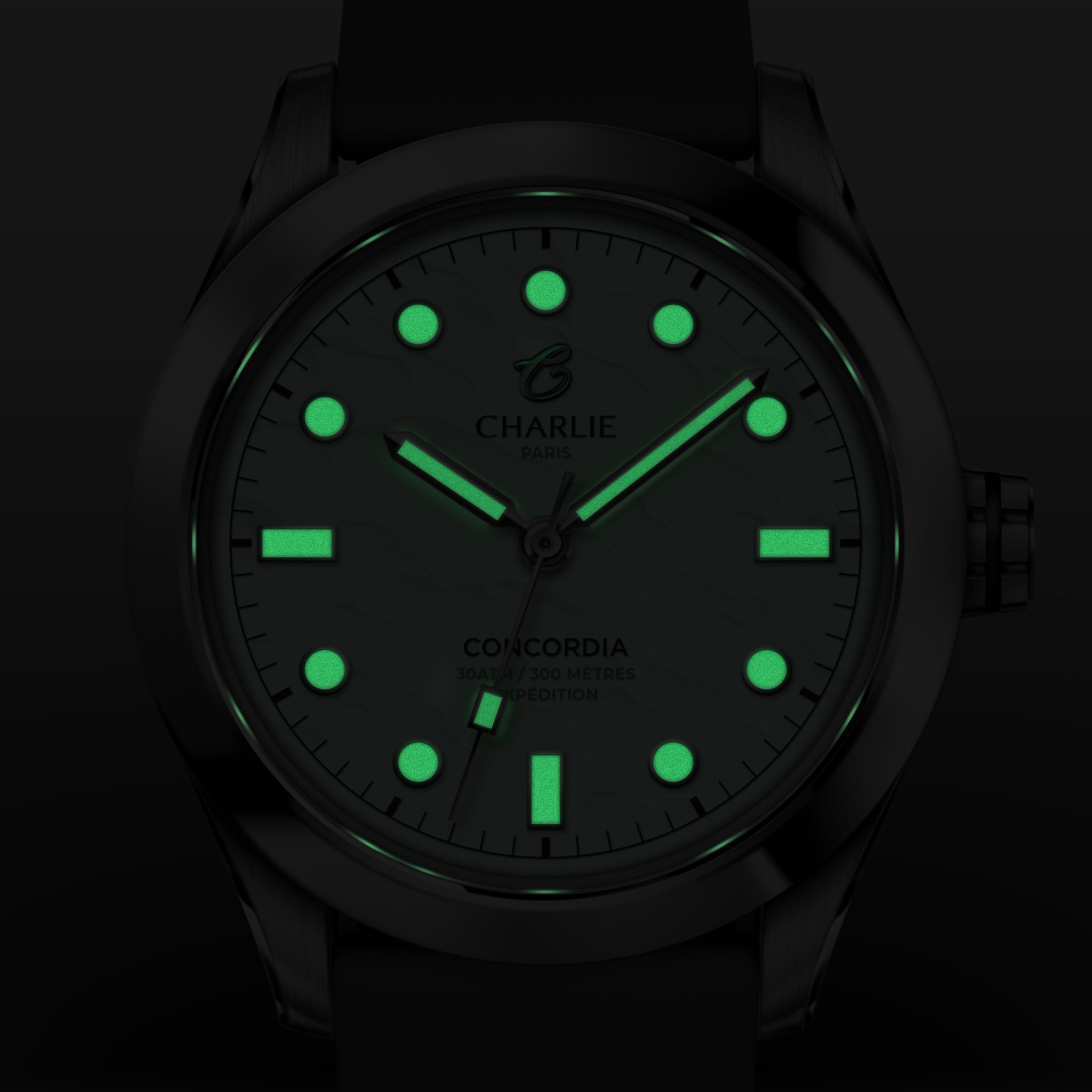 charlie-paris-concordia-toundra-montre-outil-homme-38mm-quartz-300m image 4