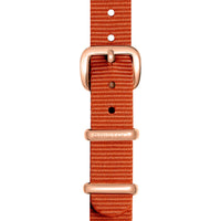 briston-bracelet-nato-12-mm-marron image 4
