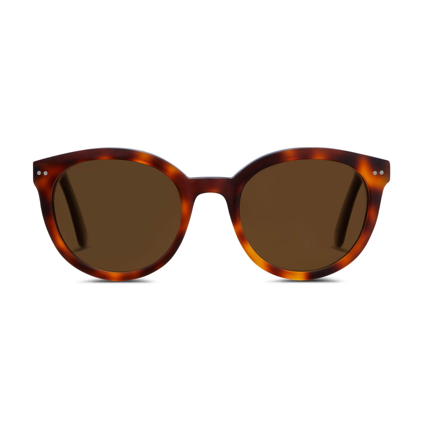 briston-lunettes-de-soleil-10-me-anniversaire-brun-caille image 3